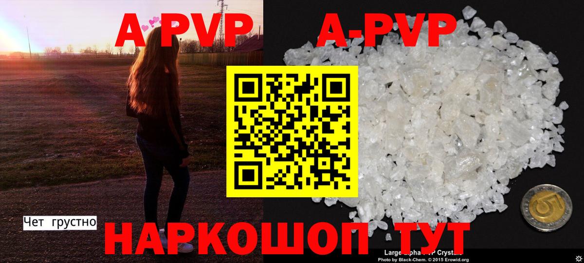 A-PVP СК КРИС Салехард